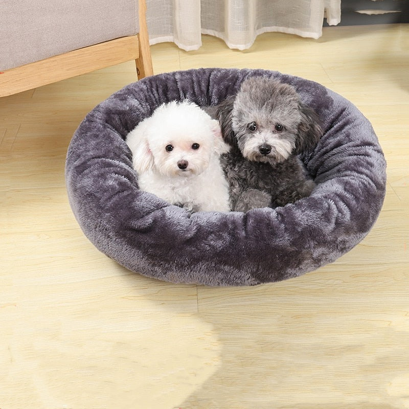 Dog Bed