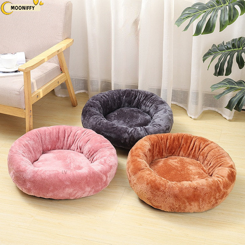 Dog Bed
